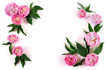 Composition of tea rose flowers.