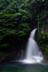 Fototapeta na wymiar 夏の滝