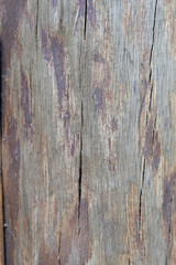 old wood texture background