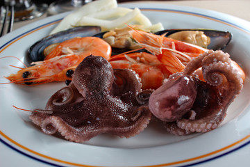 Octopus and assorted sea food on the plate, shallow focus