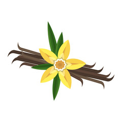 Vanilla flower with stitch and leaves. Spice for baking, pastry, cakes, for culinary products. Flat vector cartoon illustration. Objects isolated on white background.