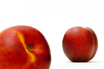 Nectarine