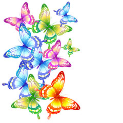 beautiful color butterflies,set, isolated  on a white