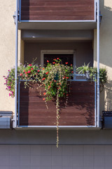 balcony decorated with beautiful flowers.