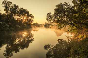 Early misty gentle morning on the river. soft light and a tree above the water with rays of light through the branches.

