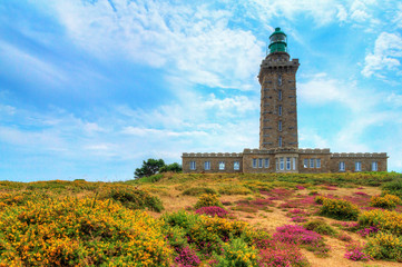 Beautiful summer view of the lighthouses at Cap Fréhel in Brittany, France, with vibrant heather flowers (Calluna vulgaris) and common gorse (Ulex europaeus)