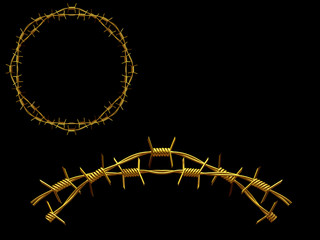 golden ornamental segment, “Barbed Wire
