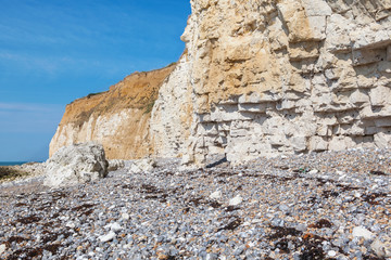 View of the white chalk cliff of Seaford Head, East Sussex, England, part of Seven Sisters National park, low tide, selective focus