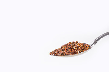 Organic quinoa seeds in the spoon