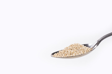 Organic quinoa seeds in the spoon
