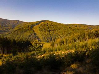 autumn colors in moutains