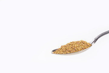 Alfalfa seeds in the spoon - Medicago sativa.