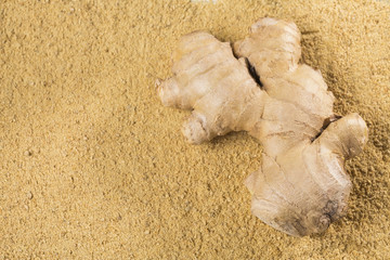 Fresh ginger root and ground ginger spice