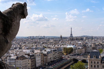 View to Paris and Eiffel Tower from Notre Dame de Paris - 223556832