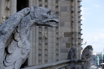 Gargoyle on Notre-Dame de Paris in Paris France - 223557035