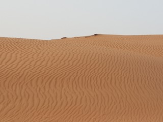 Desert design