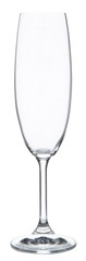 Wine glass on white background with curve -ready to work