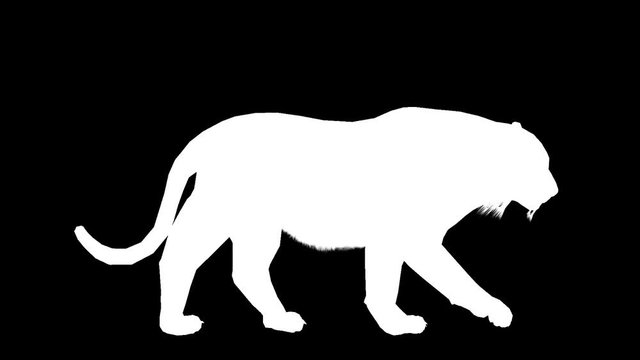 Silhouette of a moving tiger. Alpha channel. Alpha matte. FullHD.