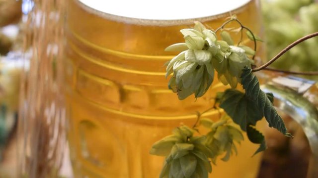 Beer Bier Birra Pivo Bi&egrave;re Bere Пиво Cerveja  맥주 ft81090588 video 啤酒 Bj&oacute;r &ouml;l Piwo &Mu;&pi;ί&rho;&alpha; Cerveza movie آبجو 