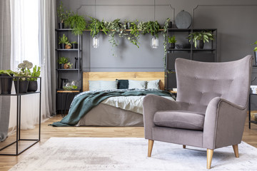 Comfy armchair in front of a double bed in a grey bedroom interior decorated with plants