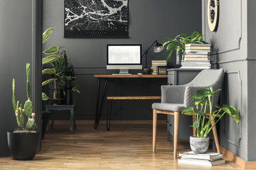 Plant next to grey armchair in home office interior with mockup of computer desktop. Real photo