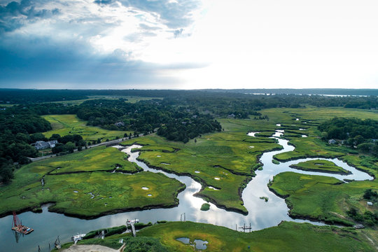 Marsh Cape Cod