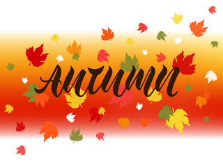 Vector illustration of autumn for logotype, flyer, banner, postcard, greeting card.