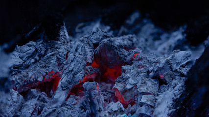 Bonfire fire charcoal close up