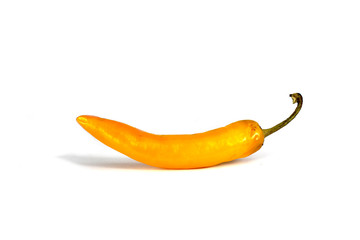 gelbe scharfe chilischote isoliert auf weißem hintergrund