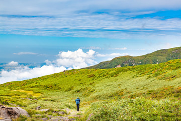 Fototapeta premium 初秋の登山道