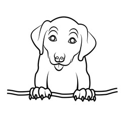 Vector illustration of a dog on a white background, cane vettoriale da colorare