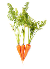 Fresh ripe carrots on a white background