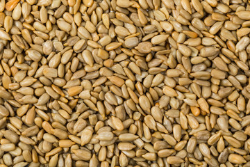 Roasted Sunflower Kernels Background. Selective focus.