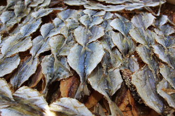 Yellow stripe scad, Dried fish in the market, thai food
