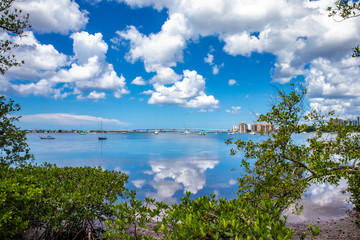 Beautiful Sarasota Bay