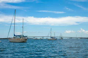 Fototapeta premium Sail boats on Sarasota Bay
