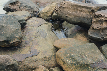 Rocks on the beach, back ground and texture