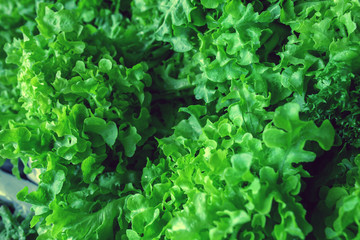Fresh vegetebles on local market. Background and texture.