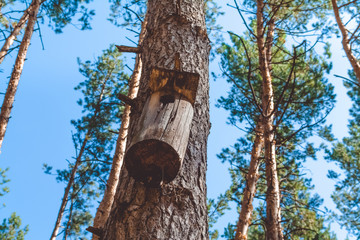  City Park. Reserve. Summer Park. Fountain. Alcove.
