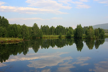 Fototapeta na wymiar Trees on the shore of the pond