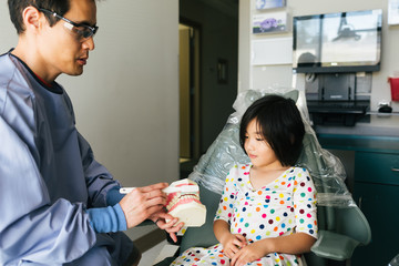 Dentist demonstrates tooth brushing to young girl