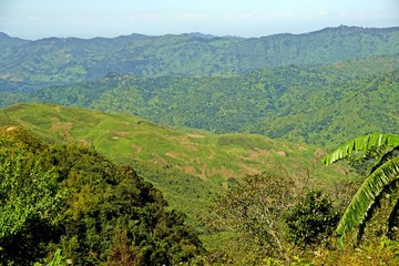 lush hills of Nagaland, tribal area, Northeast India