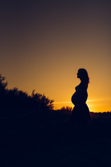 Silhouette of pregnant woman at sunset with solid color background.