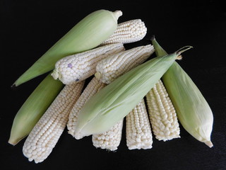 elotes frescos