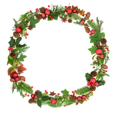 Traditional  winter and Christmas wreath garland with natural flora and fauna and red bauble decorations on white background. Christmas card for the festive season.