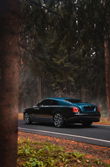 Fototapeta na wymiar Luxury car in the spruce forest