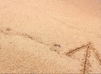 arrow on sand pointing up