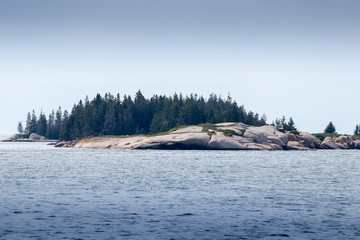 Rocky coastline with trees in the background