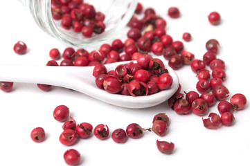 closeup of Red peppercorn aroma condiment  on white background
