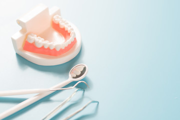 Dental model in oral health care concept.